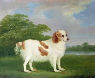 Spaniel in einer Landschaft, 1789